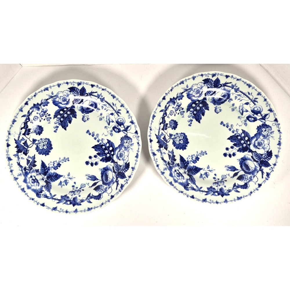 Brand New Williams-Sonoma French Bouquet Dinner Plates 11" Set of 2